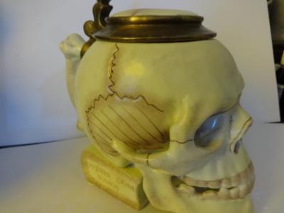 Skull Medical Student Stein